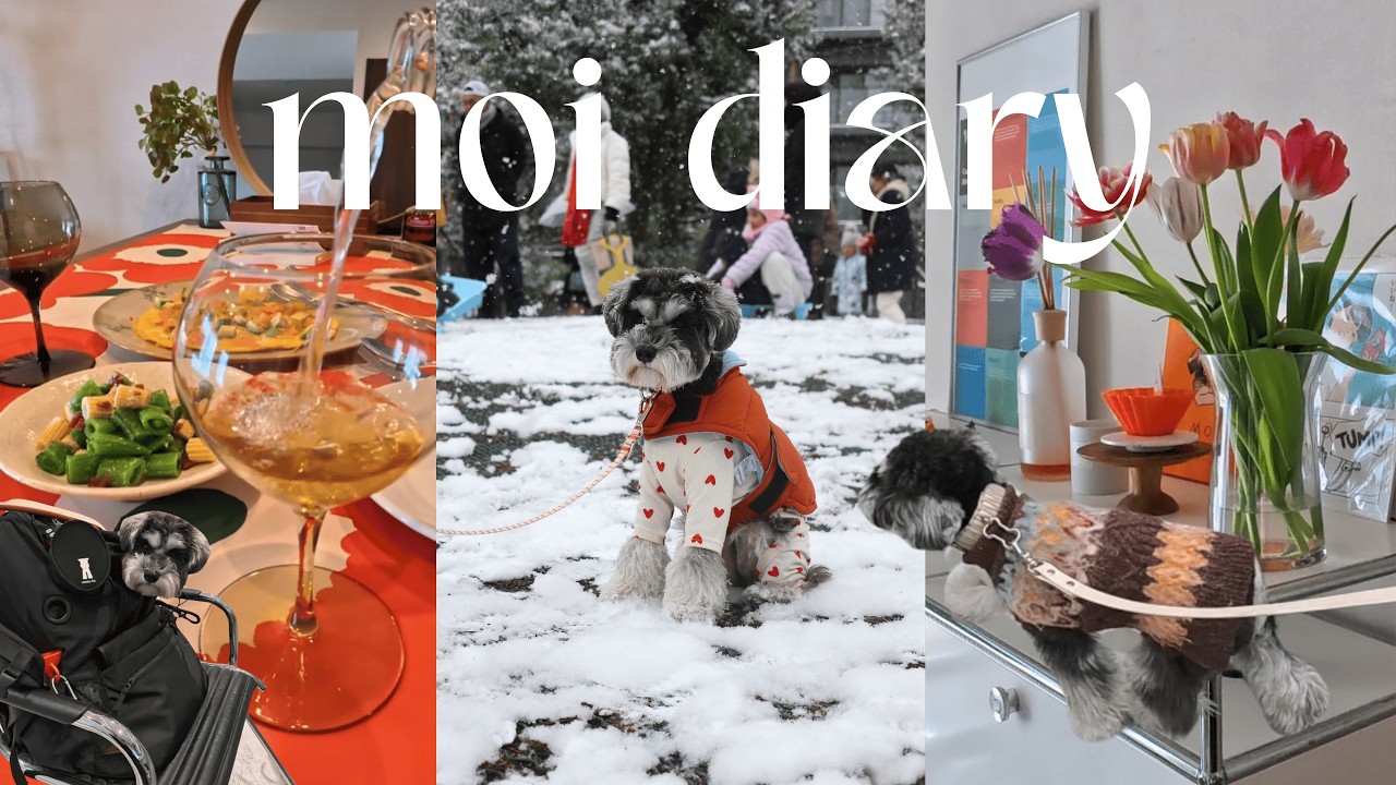 冬の暮らしとモイ │ 美容院・ハリーポッター・ワイン