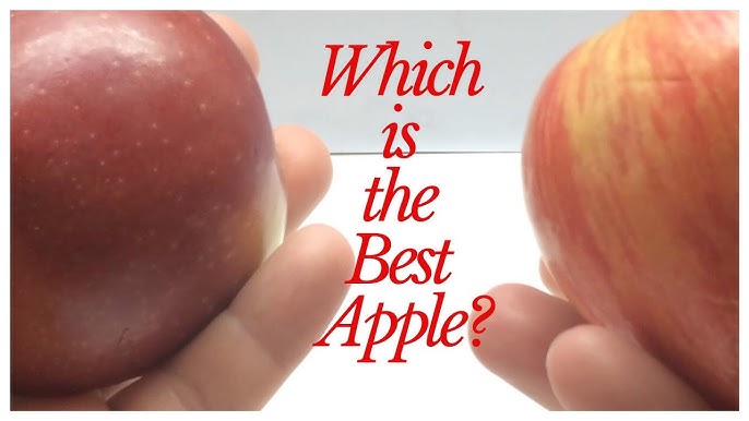 NEW Cosmic Crisp Apples, and Opal Apple Taste Test 