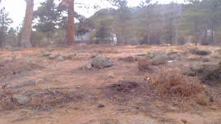 Estes Park Web Cam - The Heart House