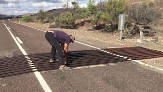 Kangaroo rescued from cattle grid in South Australia