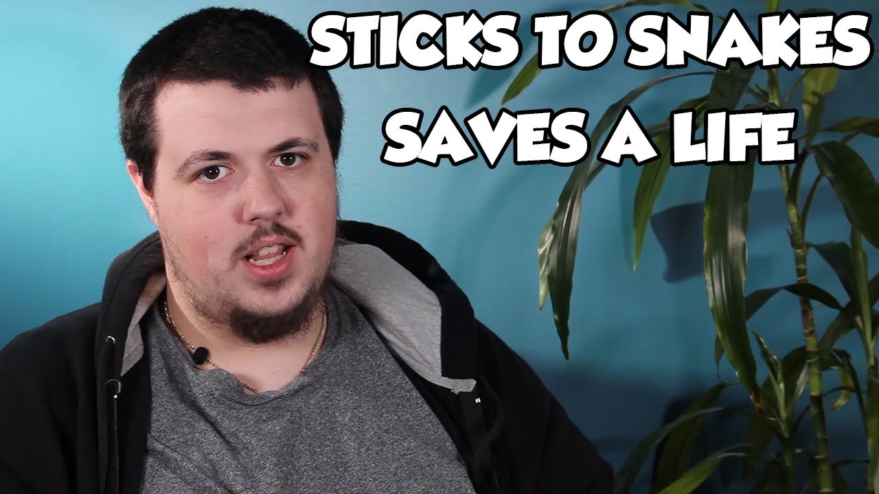 dungeons and dragons cartoon Sticks to Snakes Saves a Life - A D&D Story from Pat
