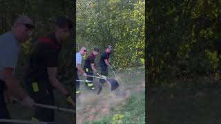 Gants feux de forêt FORESTA II – Performance terrain pour sapeurs-pompiers