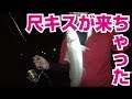 港のデカギス！夜でも釣れた？#05