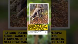 punya mata hidung bibir juga🗿