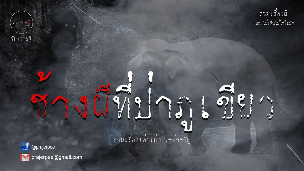 รวมเรื่องเล่าเก่าฟังยาวๆ  ตอน ช้างผีป่าภูเขียว   EP26