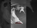 When the lights go off #foryou #horror #escaperooms #riyadhseason #trendingvideo