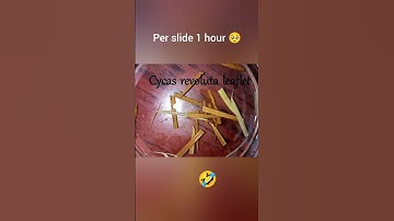 Struggle of botany students #Botanist#Botany#lucknowuniversity