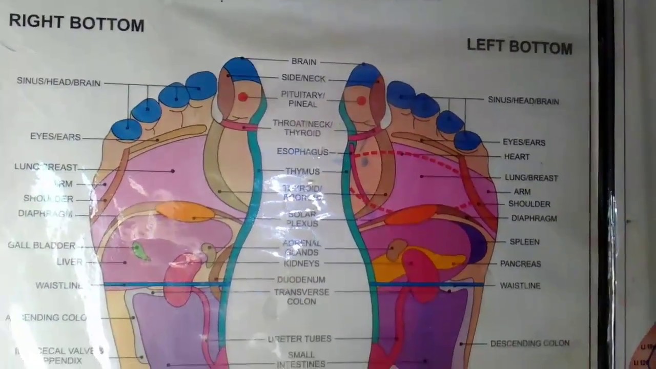 Foot Reflexology பாத அழுத்த சிகிச்சை YouTube