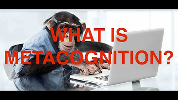What Is Metacognition?