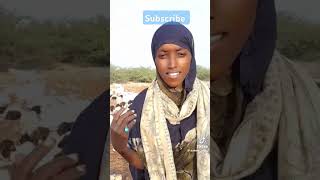 Waa Dhaanto Fal Celiin Ah