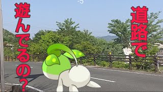 良いずんは そこで遊ばない