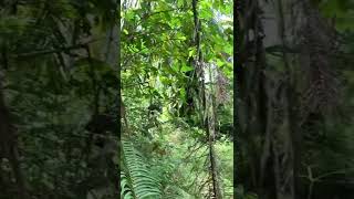 Highlight Latber Mini Enduro Jajaran Barito 2022 Mtb Batara