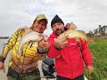 GRANDES AMARILLOS en Sauce Viejo y kayakfishing - EL PATO TV 938