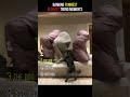 ranking the funniest blanket trend moments #memes #fails