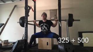 1150 Circa Max Squat