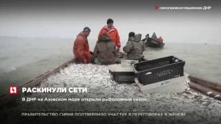 В ДНР на Азовском море открыли рыболовный сезон