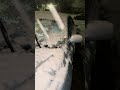 Snow balloons in VA Beach! Huge snow flakes!