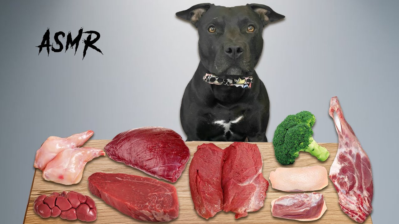 BEST DOG ASMR | Mukbang | Pit bull Eats raw foods