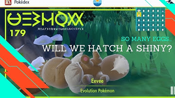 Hatching an entire box of Eevee Eggs trying to find a shiny!