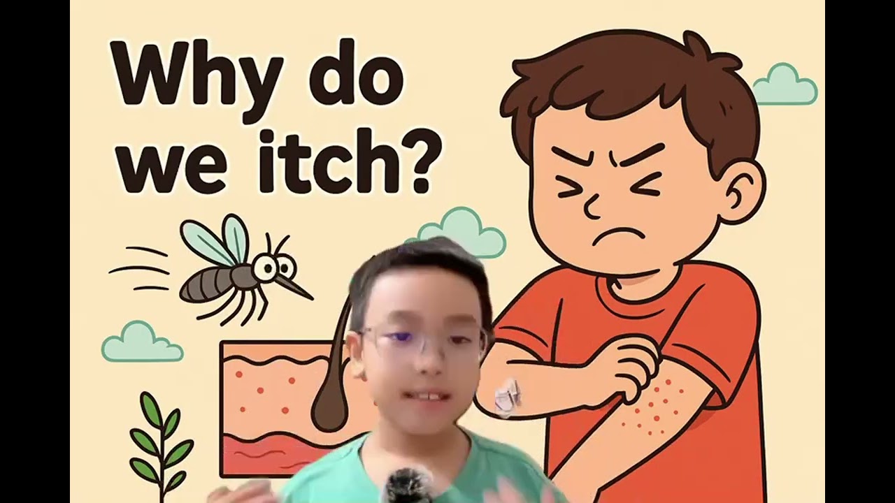 Why Do We Itch? 🦟 The Science Behind Scratching!