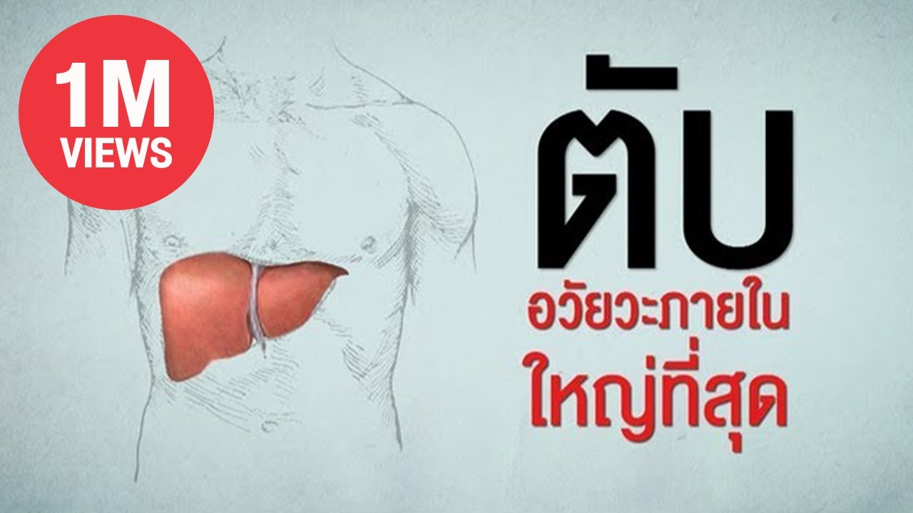 ศิริราช 360º [by Mahidol] กว่าจะเป็นมะเร็งตับ (1/2) รู้เรื่องโรคเกี่ยวกับตับ มะเร็งตับ ตับแข็ง
