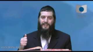 הדף היומי - מסכת עירובין דף מ"א