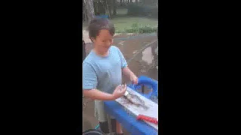 Cleaning fish
