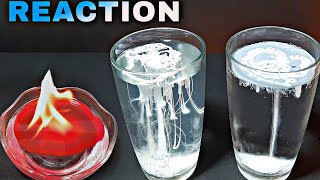 Amazing Water Experiment & Tricks | Easy Science Experiments At Home @smdiscover