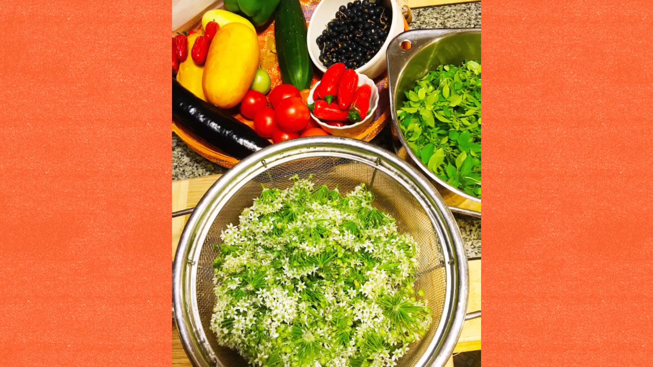 From Seed to Bowl - Pepper Plants in Action