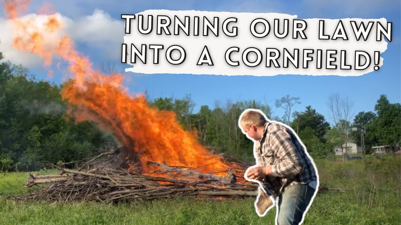 CONVERTING OUR LAWN INTO A CORNFIELD (part 1) YouTube