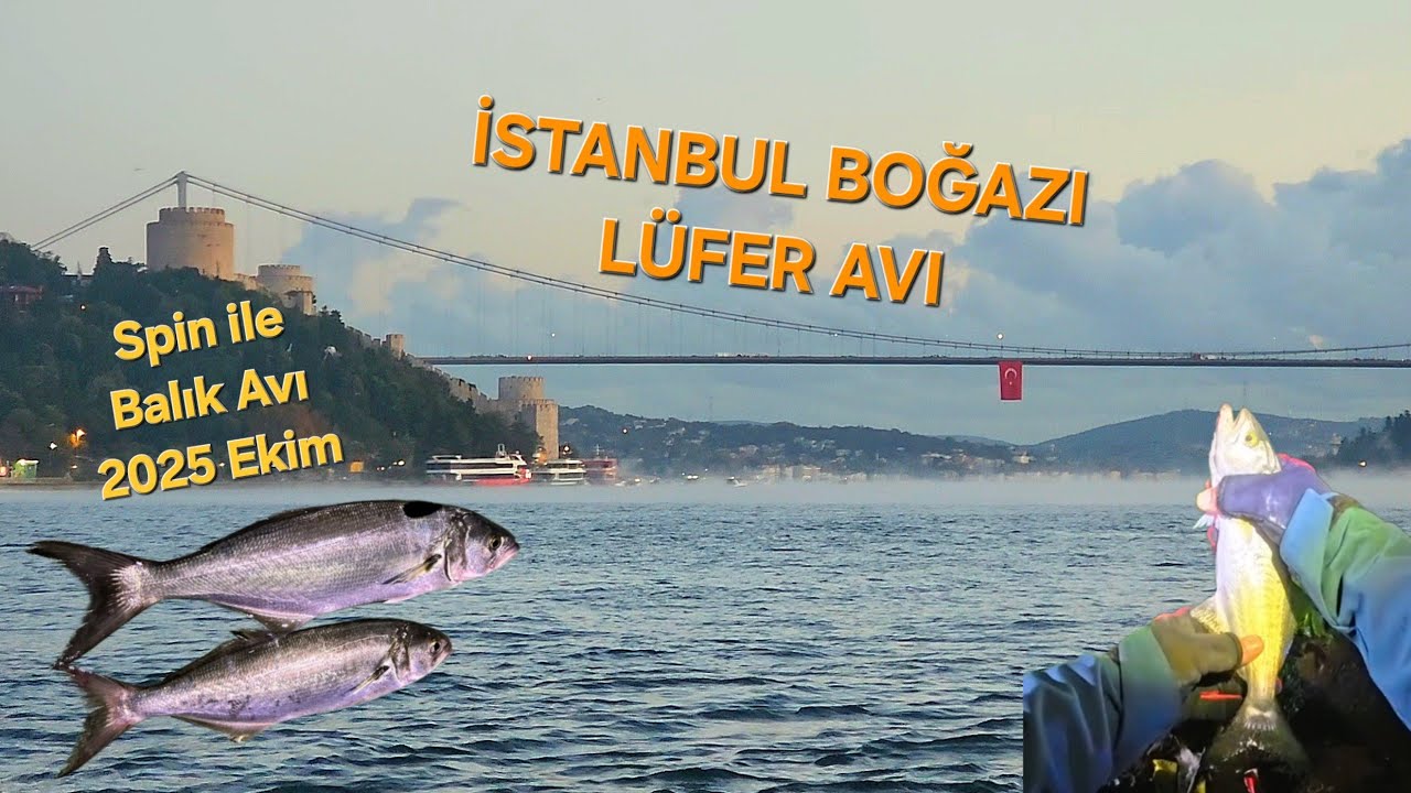 İSTANBUL BOĞAZI'NDA LÜFERİ BULDUM - TÜM MERALARDA LÜFER AKINI YAKINDIR!