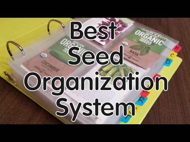 Organizing Your Seed Collection – Southern Gardener