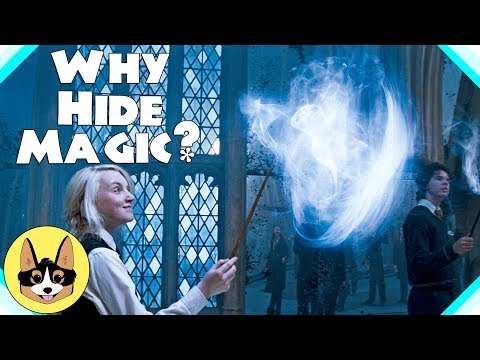 Harry Potter Theory - Why Hide Magic?