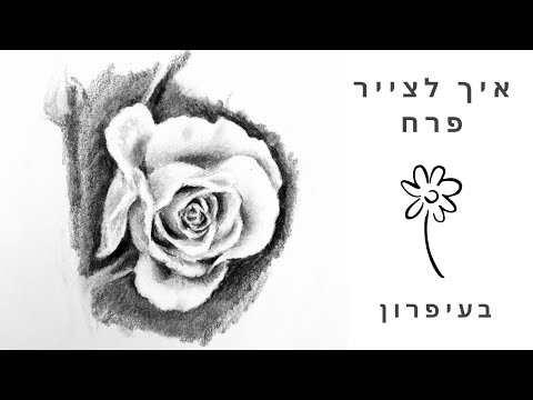 וִידֵאוֹ: איך לצייר פרח סאקורה