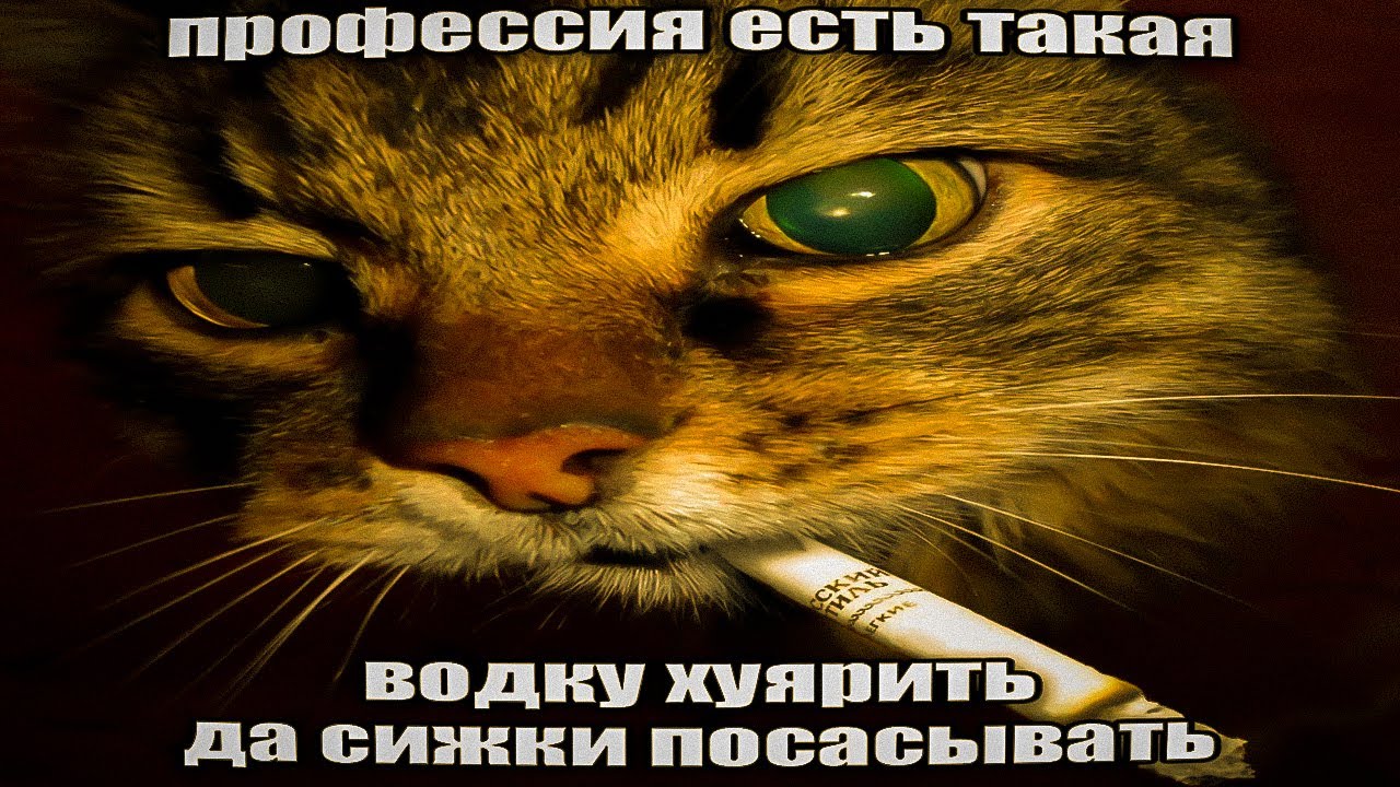 янг лин - гта 5 онлин фит. мс бомжара 2000 - YouTube