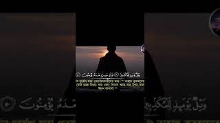 Beautiful Quran Tilawat //Surah mursalat //Al Quran HD media #shors