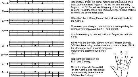 Stretching Exercises