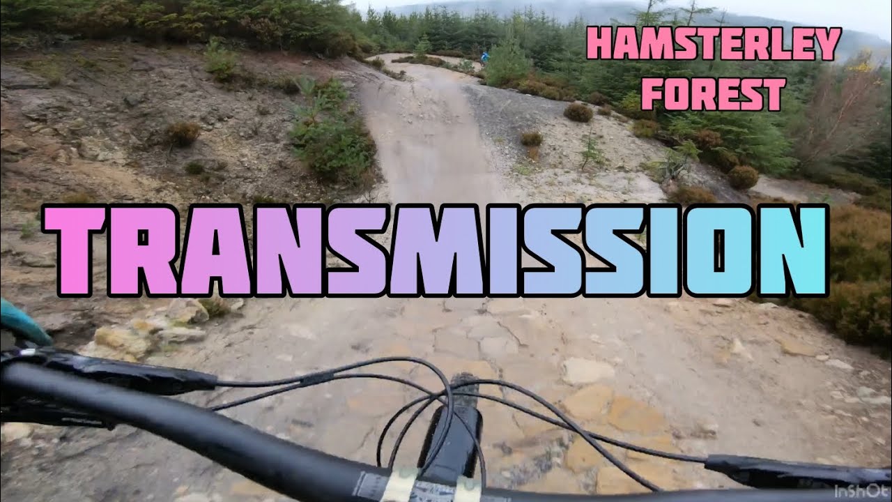 Transmission - Hamsterley Forest