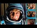 9 Levels of The Epic Movie Genre