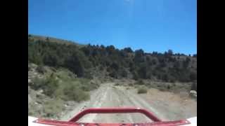 Reno, NV Mustang RndUp Rzr Ride