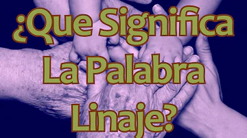 ¿Cómo conocer su linaje?