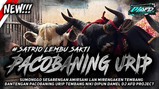 NEW!!! | PACOBANING URIP 