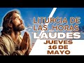 Laudes de hoy Jueves 16 de Mayo de 2024 - Liturgia de las Horas - Oración de la Mañana.