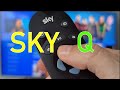 SKY Q demo and review