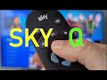 Dmo et revue de sky q