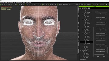 Character Creator 3D Scan Pipeline - Adjust Balance Morphs for 3D Scan Optimization