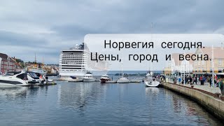 Сколько стоит вино в Норвегии? Влог с бродилками.