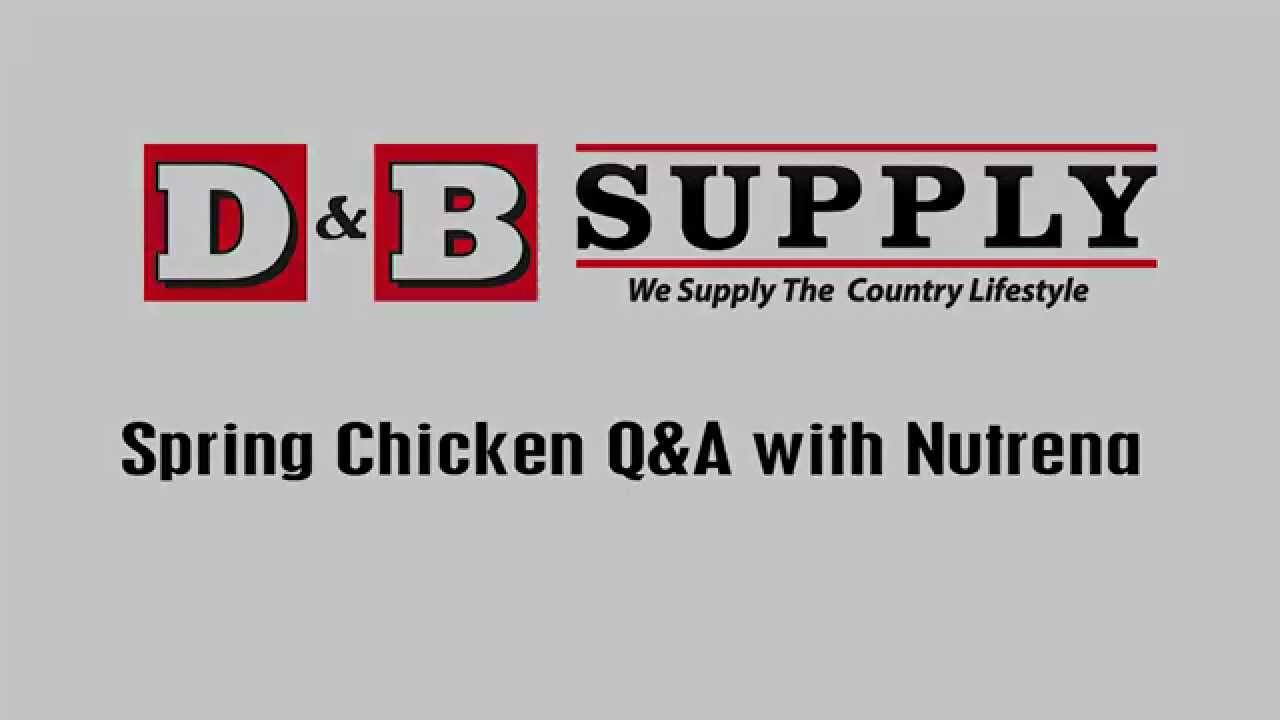 chickens come home to roost Q&A with Nutrena: How do you increase the number of eggs that your hen lays?