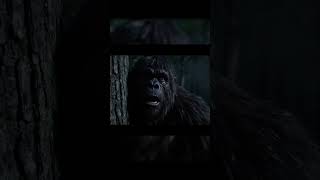 Bigfoot’s Forest Adventure Gone Wrong! #bigfootvlogs  #funnyvideo  #forestfails #veo3