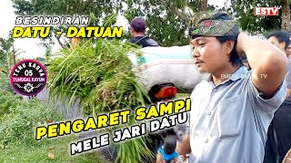 SELAPUK MELE JARI DATU😮 PENGARET SAMPI PUN MILU DATU DATUAN TEMU KARYA 05 MUSTAMIN AHMAD ALBA 2022